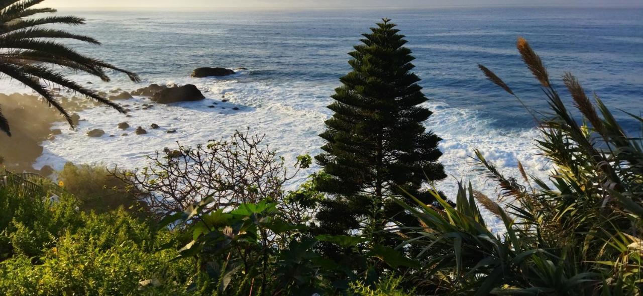 Casa Mo Tenerife Garachico  Dış mekan fotoğraf